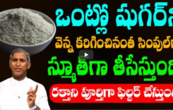 ఒంట్లో షుగర్ ని వెన్నెల కరిగించేంత సింపుల్ గా, స్మూత్ పుల్ గా చేస్తుంది…!