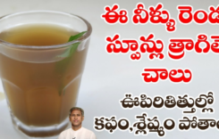 ఇది ఒక్కసారి తాగితే చాలు.. ఊపిరితిత్తుల్లో జిడ్డులా పట్టుకున్న కఫం శ్లేష్మం క్లీన్ అవుతుంది…