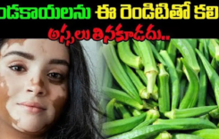 బెండకాయలను ఈ రెండిటితో కలిపి అస్సలు తినకూడదు..!