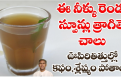 ఇది ఒక్కసారి తాగితే చాలు.. ఊపిరితిత్తుల్లో జిడ్డులా పట్టుకున్న కఫం శ్లేష్మం క్లీన్ అవుతుంది…