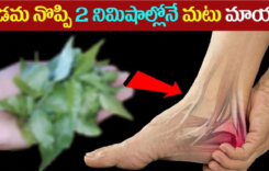 మడమ నొప్పి, కాలు బెణుకు నొప్పినీ కేవలం రెండు నిమిషాల్లోనే మటుమాయం…!!