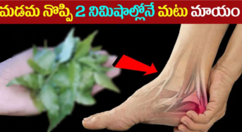 మడమ నొప్పి, కాలు బెణుకు నొప్పినీ కేవలం రెండు నిమిషాల్లోనే మటుమాయం…!!