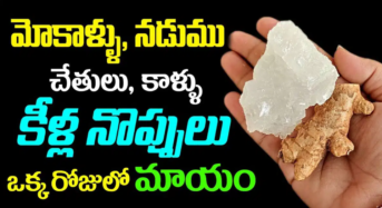  మోకాళ్లు, నడుము, చేతులు, కాళ్లు, కీళ్ల నొప్పులు ఒక్కరోజులో మాయం…!!