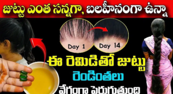 Hair Tips : జుట్టు ఎంత సన్నగా, బలహీనంగా ఉన్న ఈ రెమెడీతో జుట్టు రెండింతలు వేగంగా పెరుగుతుంది…!