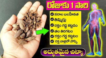 Nervous Weakness Remedies : రోజుకి ఒకసారి ఇది తీసుకుంటే నరాల బలహీనత, నరాల నొప్పులు, వాపులు మాయం…!!