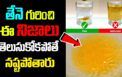 Honey : తేనె గురించి ఈ నిజాలు తెలుసుకోకపోతే మీరు నష్టపోతారు…!!
