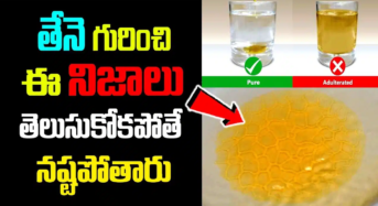 Honey : తేనె గురించి ఈ నిజాలు తెలుసుకోకపోతే మీరు నష్టపోతారు…!!