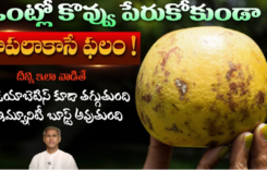 మారేడు పండు జ్యూస్ అద్భుత గుణాలు .. సహజ ఆరోగ్య కవచం