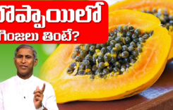 బొప్పాయి గింజల అద్భుత ప్రయోజనాలు .. ఆరోగ్యానికి సహజ ఔషధం