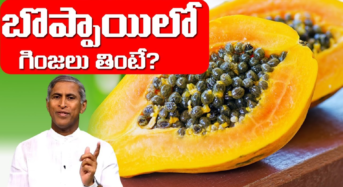 బొప్పాయి గింజల అద్భుత ప్రయోజనాలు .. ఆరోగ్యానికి సహజ ఔషధం