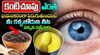 Eye Sight : కంటి చూపు ఎంత భయంకరంగా పెరుగుతుందంటే మీ కళ్ళజోడు ని తీసి పక్కన పడేస్తారు ..!!